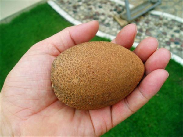 世上最奇怪的5种水果,吃过3种的,那我可以叫你一声"大佬"了!