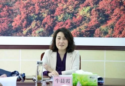 县委书记被查,女县长公示拟任书记|长治|县委书记|杨红旗|黎城县|山西