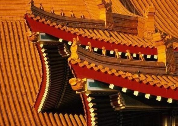 故宫的屋顶上为什么从来没有鸟粪,上面装了什么?专家揭开谜底