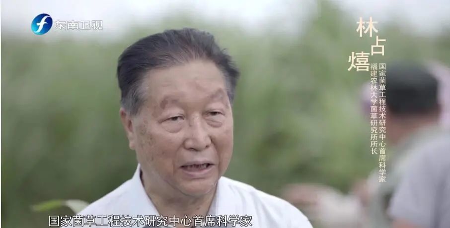 山海情原型人物你知道多少他们的故事远比剧里震撼人心