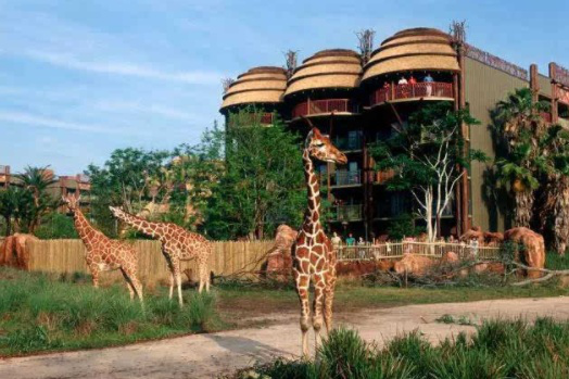 世界最有趣的動物酒店,能和動物來親密接觸,其中1家在動物園裡