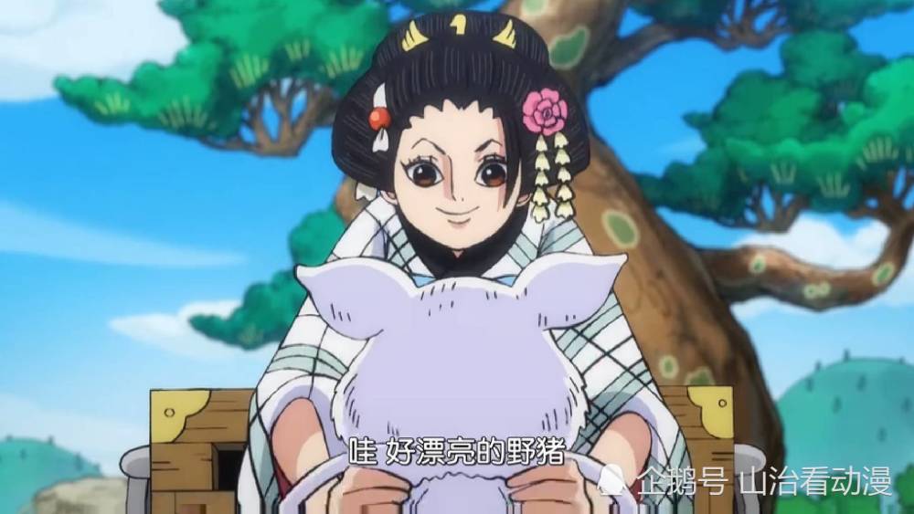 海贼王960集:光月御田霸气登场,迷倒万千少女,阿鹤颜值爆表