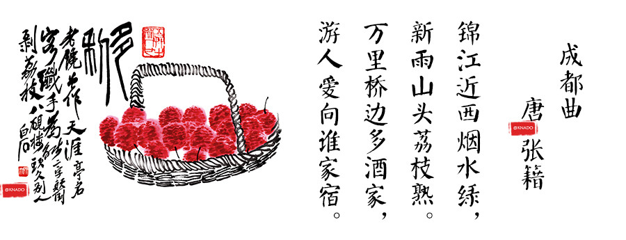 给孩子们赏析古典诗词里的荔枝