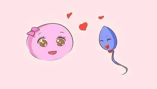 宫外孕与正常怀孕的区别是什么一般多久后能发现