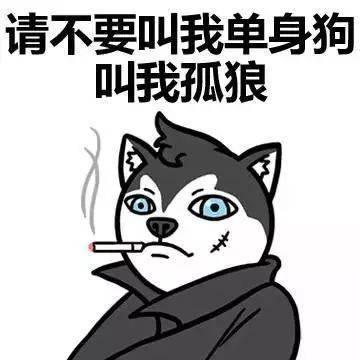 形容单身狗的搞笑句子|单身狗|情人节|恋爱