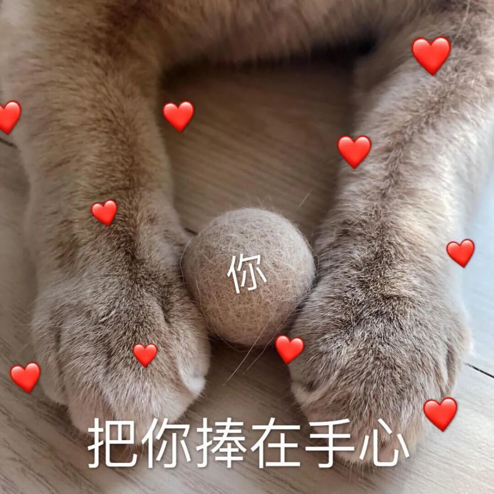 表情包我看你心里根本没我了