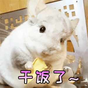 表情包|不要和我吵架 否则我容易一嘴巴亲过去|萌宠|熊猫