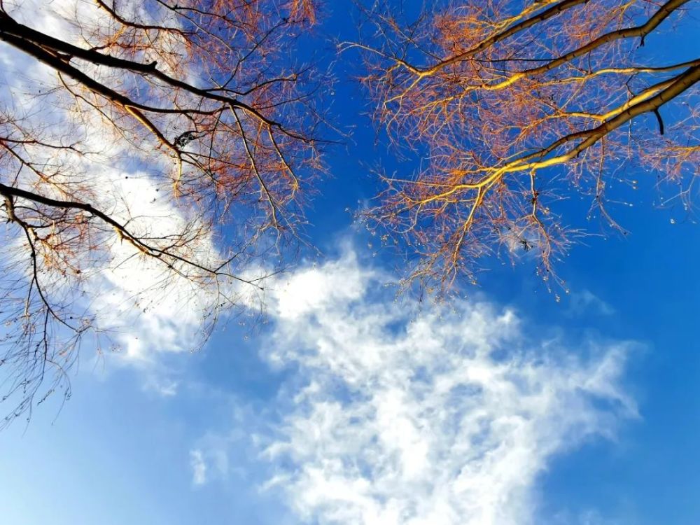 平凉送你一抹最美冬日暖阳