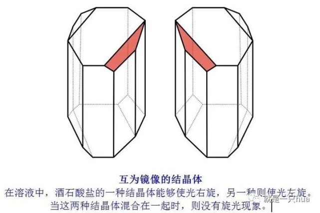 图1:酿造葡萄酒时酒桶底部产生的酒石晶体巴斯德的实验简洁优雅而又
