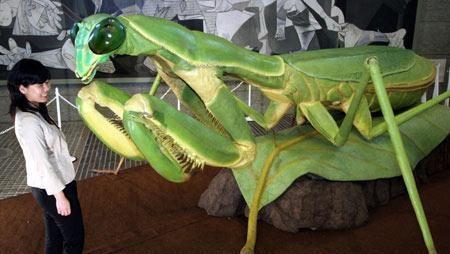 如果螳螂体型跟大象一样,它能够成为自然界的"霸主"?