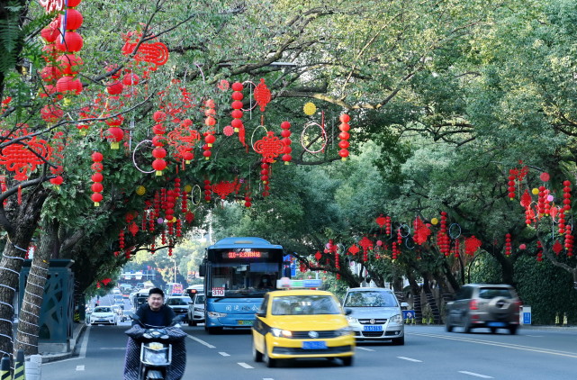 福州市街头景象(1月31日摄). 新华社记者 林善传 摄