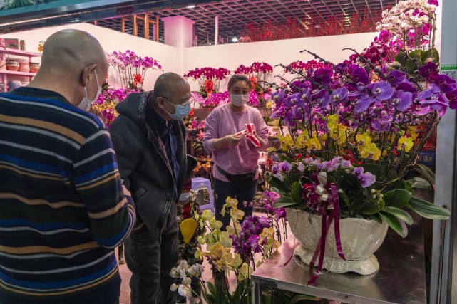 沈阳花市(沈阳花市哪个最好)