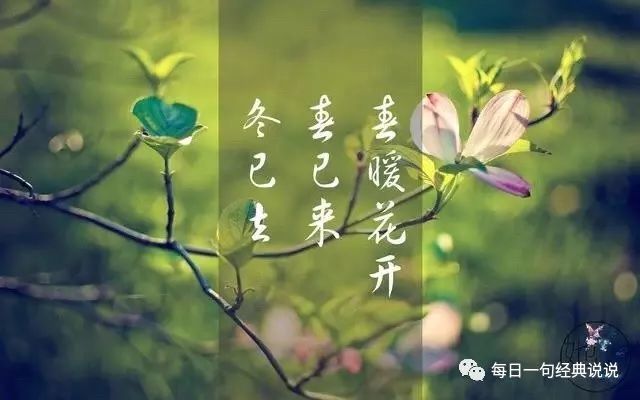 勵志的句子致自己簡短,致自己的唯美句子_騰訊新聞