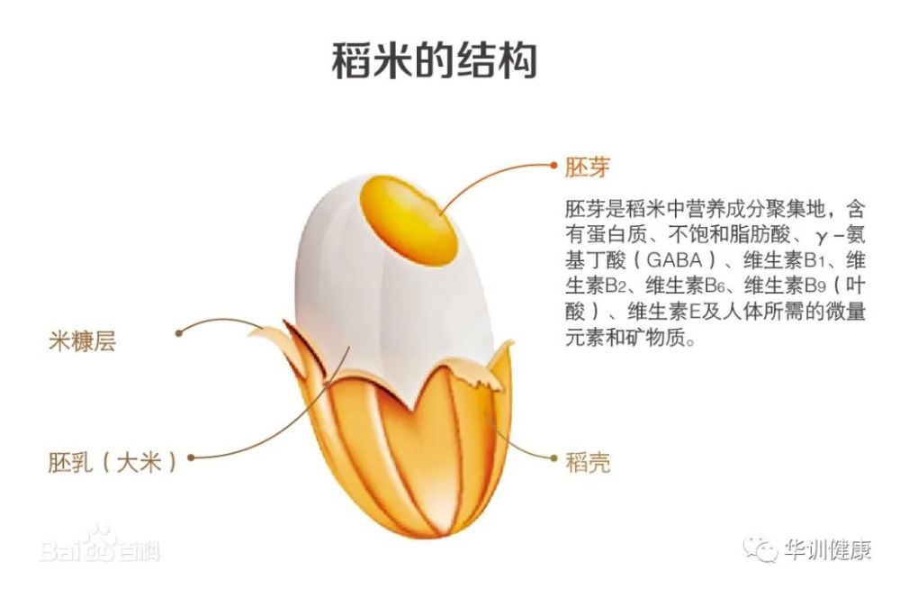 你知道吗 我们吃的大米80 的营养都浪费了 腾讯新闻