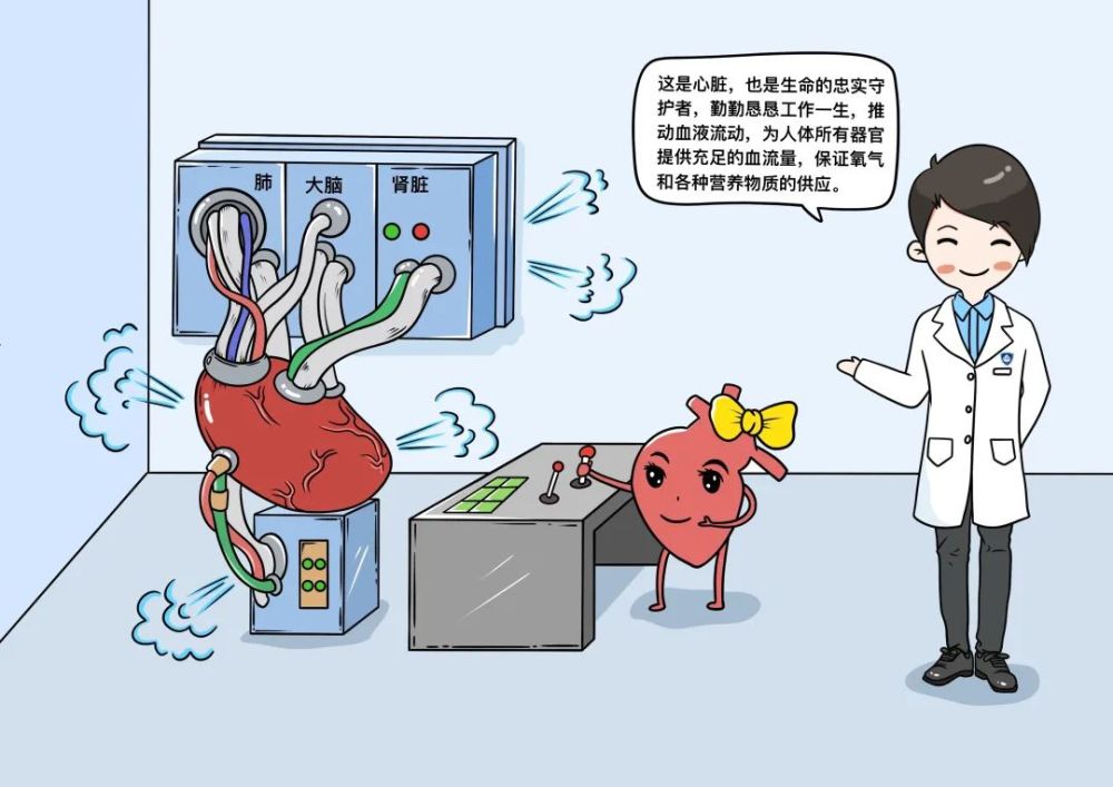 窦性心律不齐|窦性心律不齐就是心脏病？｜健康辟谣日历