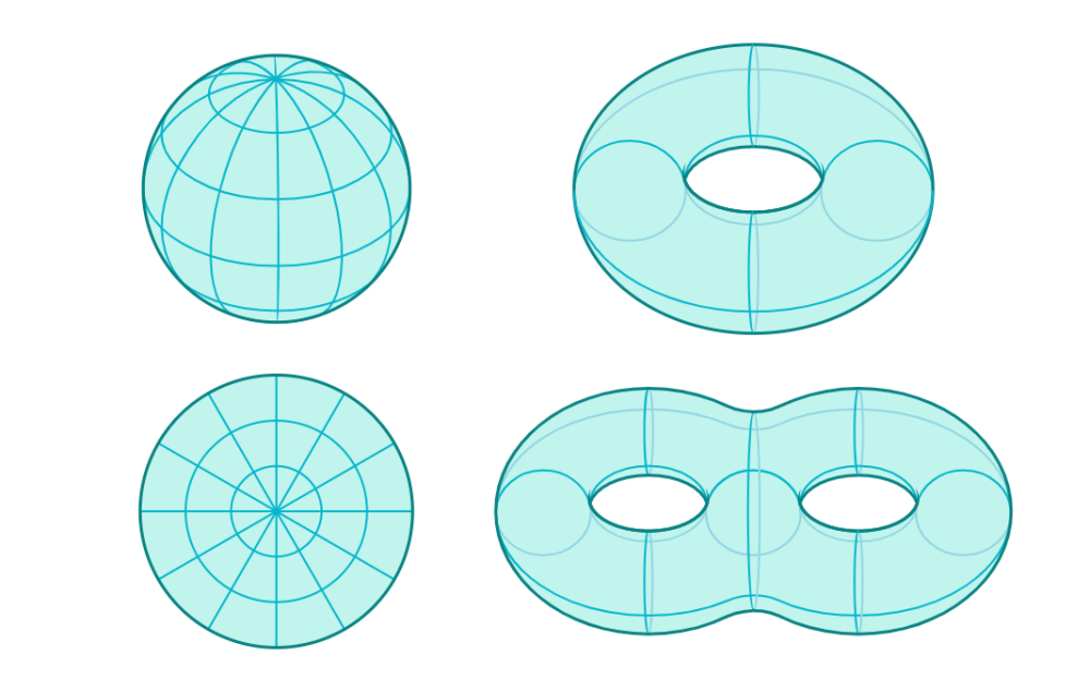 拓扑学的本质孔的数量几何学最伟大的发现