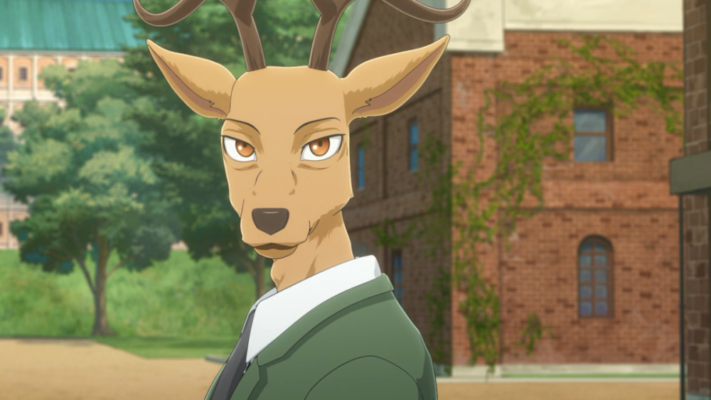 新番点评beastars动物狂想曲