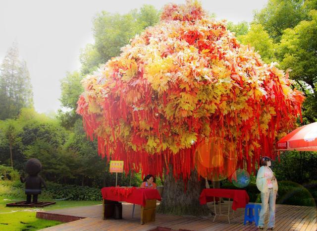 灵签占卜你会在下面哪棵许愿树上许愿测你最近有好运吗