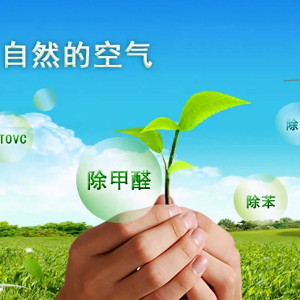 超氧(臭氧)早已被证实了可以快速高效地去除甲醛,改善净化空气质量.