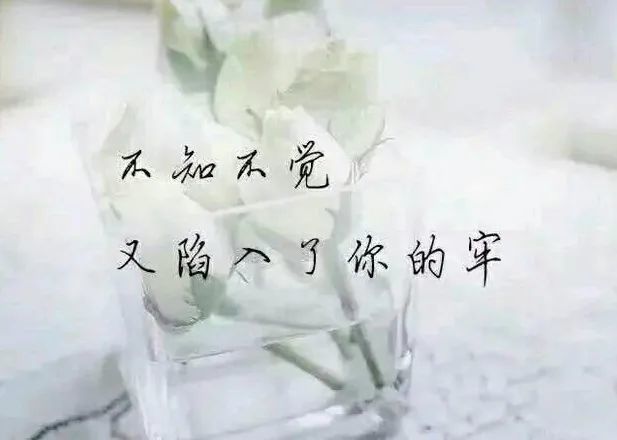 愛你是我很深的執念,想你很苦很痛,想你了,含淚的想念心疼似碎