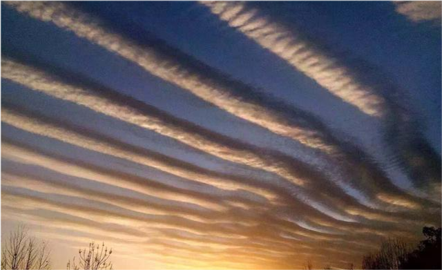 地震云真的有科学依据吗