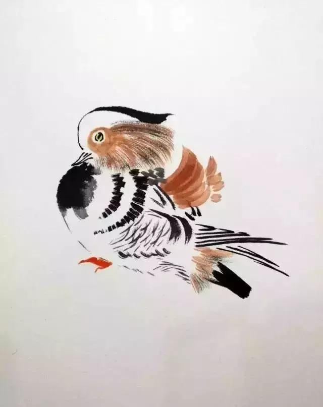 这么详细的小鸟教程,不看就亏啦!_腾讯新闻