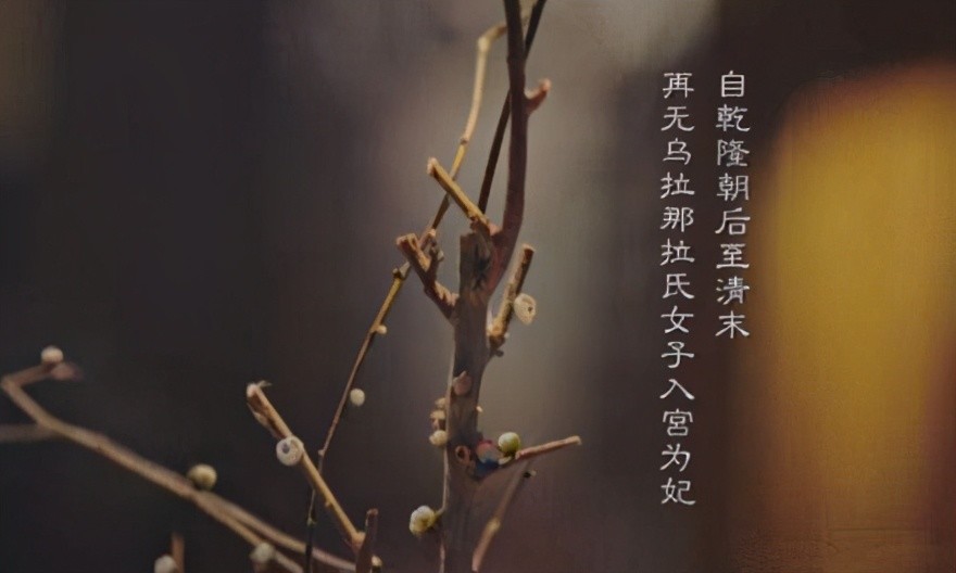 如懿传难怪如懿死时一盆绿梅突然开花了你看它有啥寓意