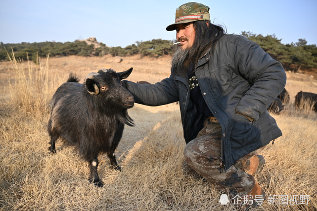 刘延灵介绍,他养了60多只山羊,每斤卖26元,如果和他讲价,就卖30元一斤