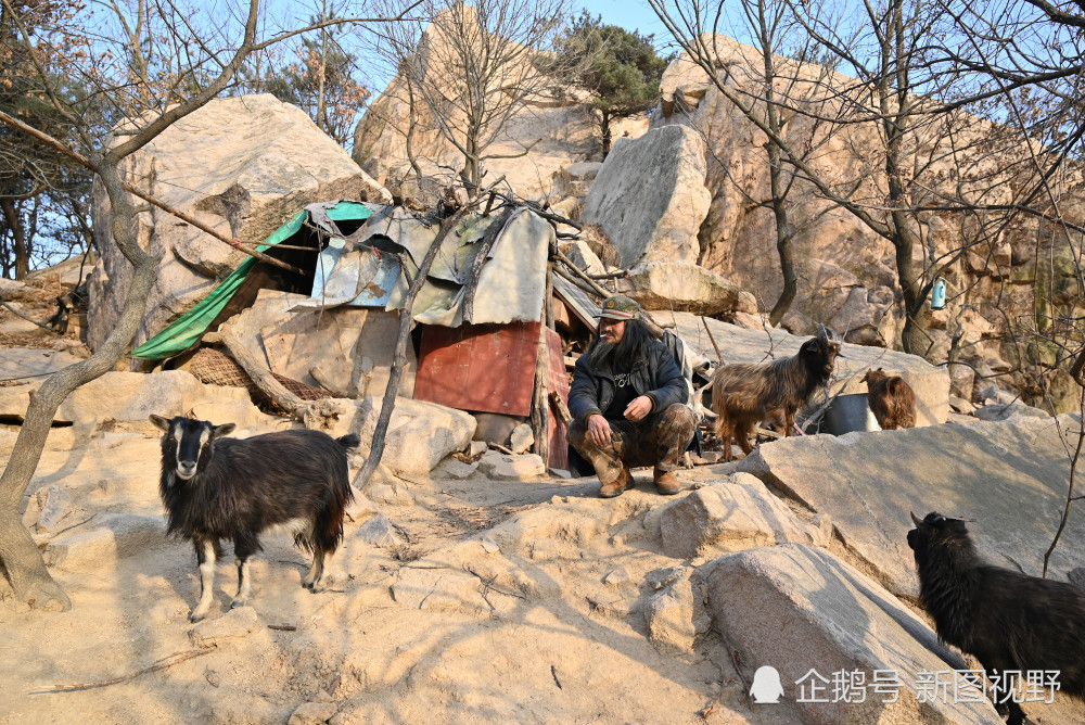 刘延灵养的这60多只山羊,是他的全部财产.