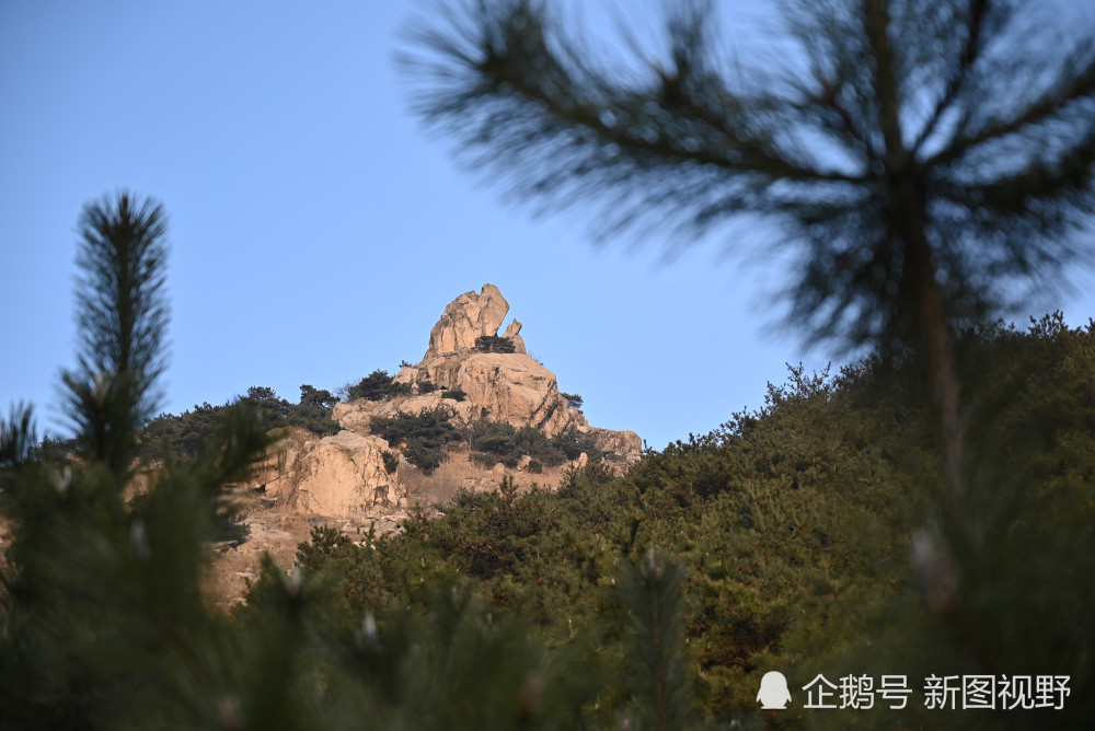 "刘延灵说,活着的时候要回归山野,死后也要融入自然.