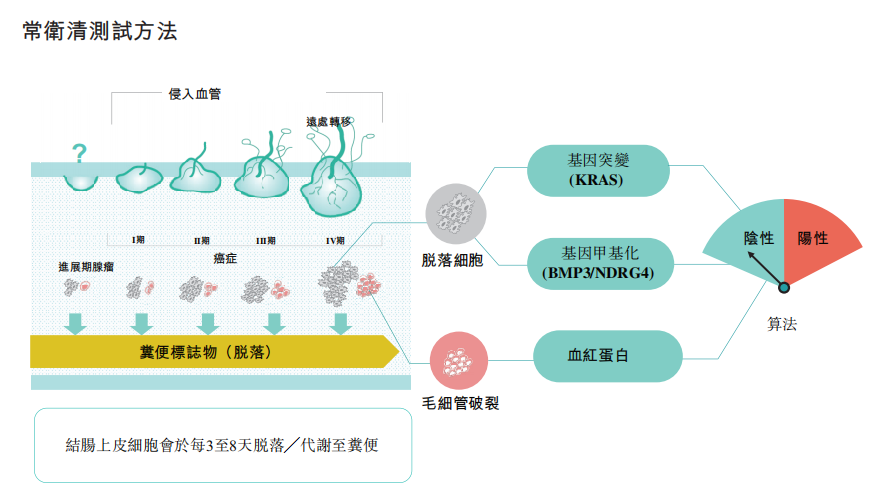 便隱血聯合檢測試劑盒(pcr熒光探針法-膠體金法)