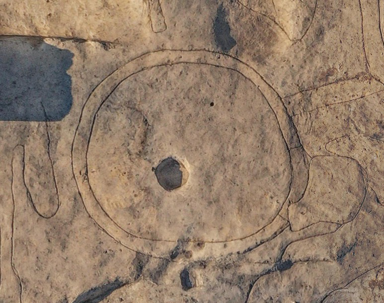 时庄遗址4000年前已经出现了屯粮专用的粮城