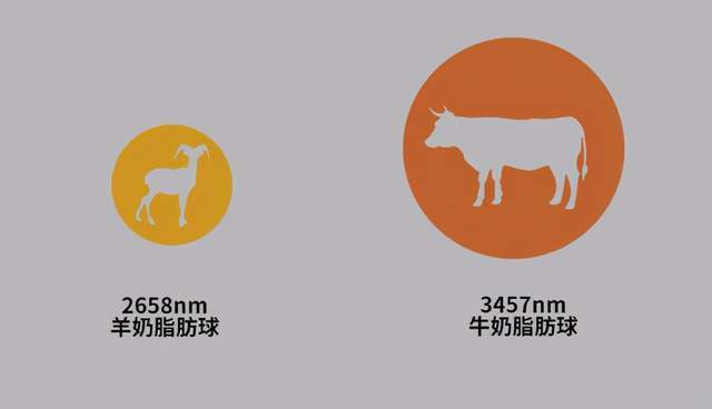 荷兰tiny-tim实验发现,羊奶粉消化速度与母乳接近.