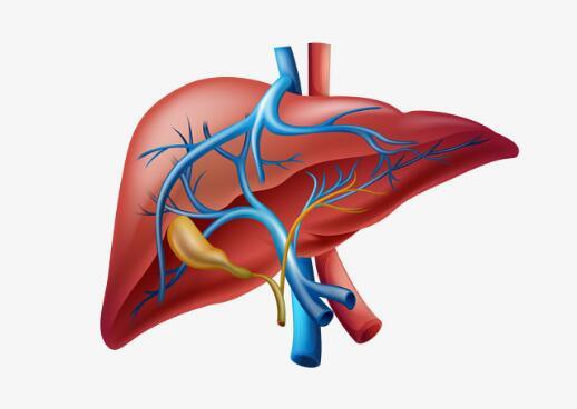 腹部痛是肝病的"讯号"?肝胆科:不仅如此,还有这3"异常"