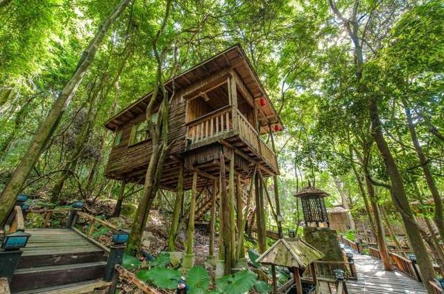 广东有个超适合隐居的树屋藏在深山之中你想去感受一下吗