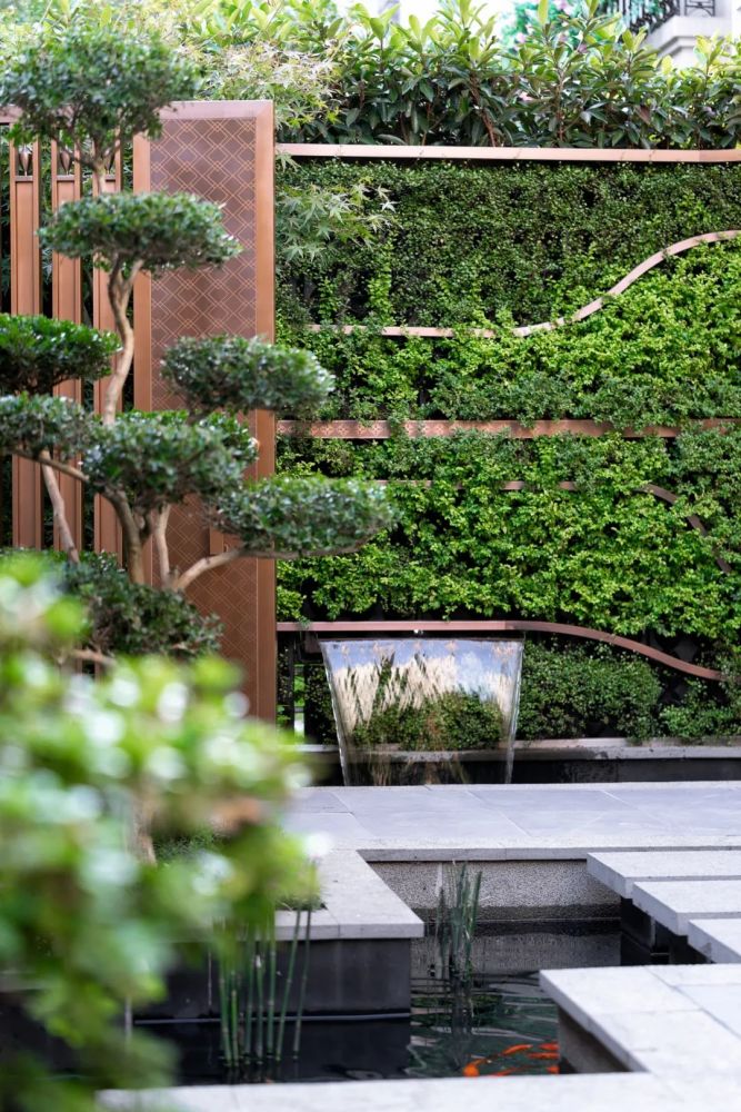 园集奖最佳作品|谁曾想小小的50平花园,也能带来无限可能