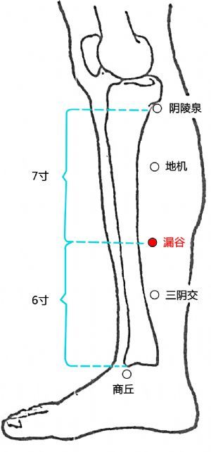 2,治不消化,男性前列腺問題,腿肚子痠痛:點揉漏谷穴.