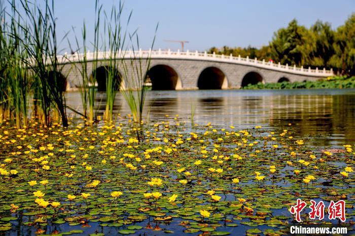 到25年北京将恢复建设湿地5000公顷湿地保护率不低于70 腾讯新闻