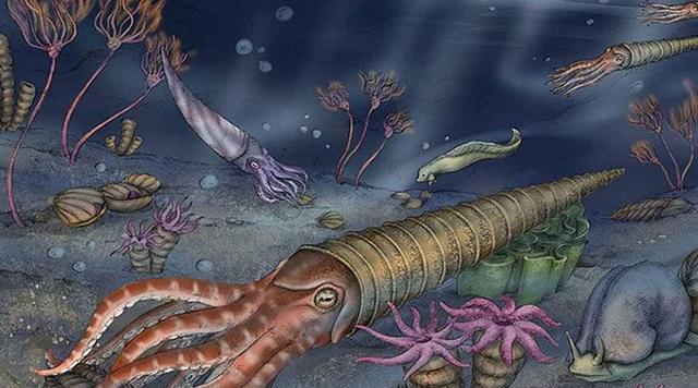 直壳鹦鹉螺是奥陶纪海洋生物中食物链最顶端的生物,就目前已发现的直