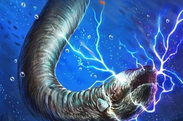 是鳗鱼的一种,其实并非如此,因为鳗鱼属于鳗鲡目,而电鳗则属于电鳗目