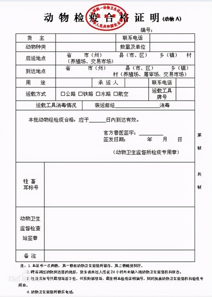 21岁女孩命丧毒蛇之口真相曝光活体快递真是害人害己