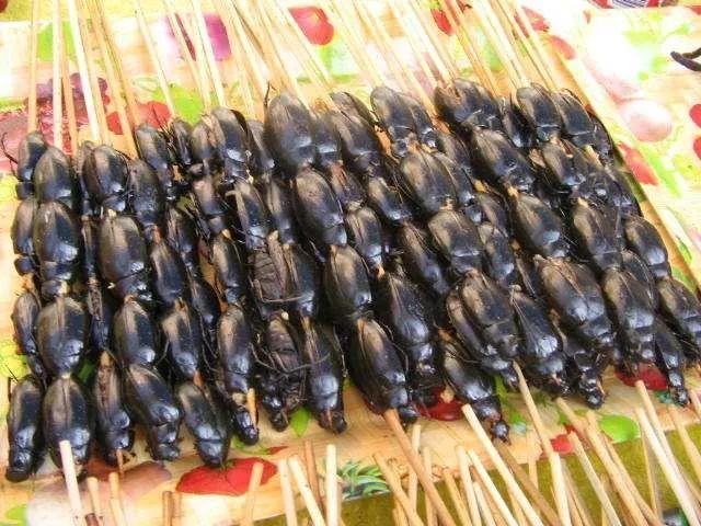 外壳油光发亮的蟑螂,被一只只串在一起摆放在柬埔寨街头的烧烤摊上