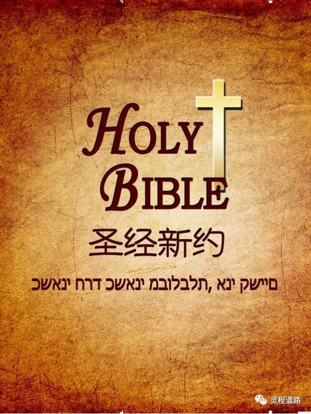 图解新约圣经