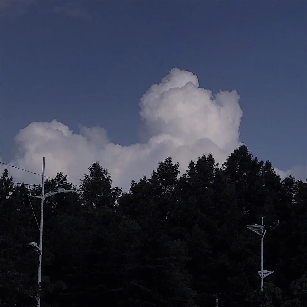 微信8.0状态背景图_腾讯新闻