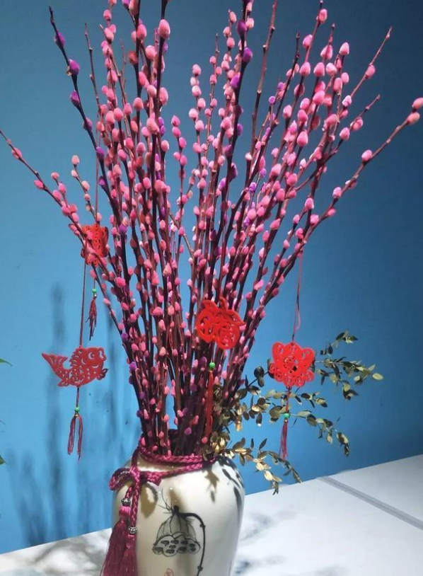 最受欢迎的5种年宵花,家里养一盆,红红火火过大年!