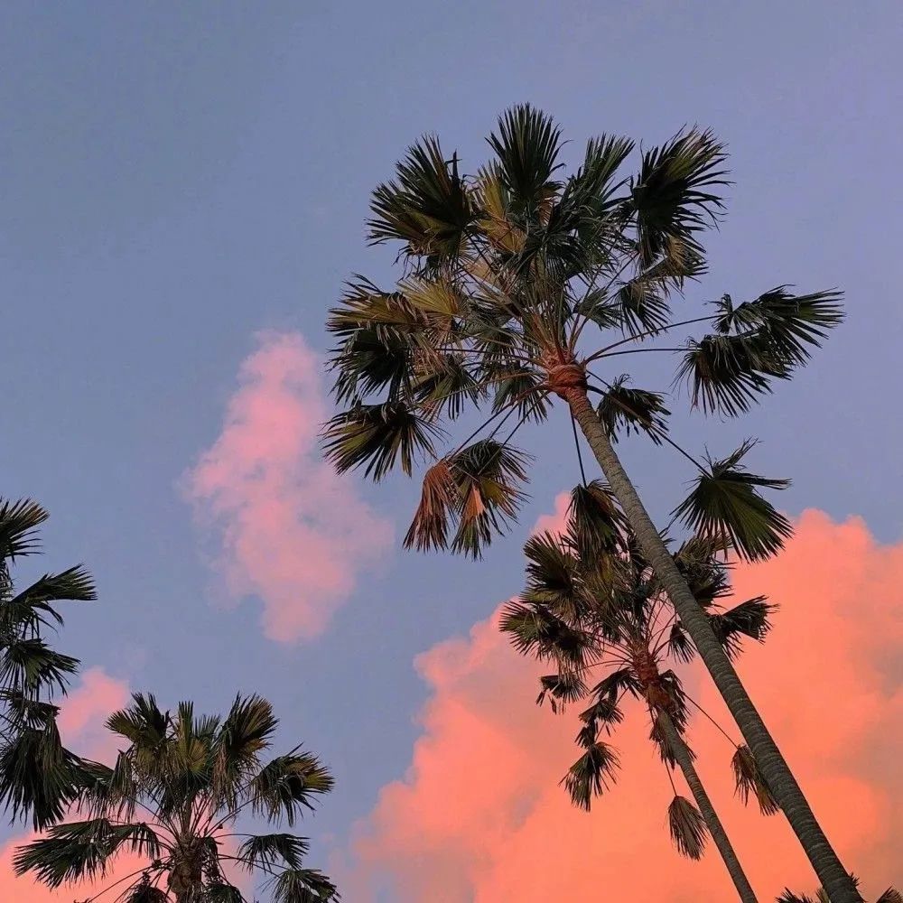 微信8.0状态背景图_腾讯新闻