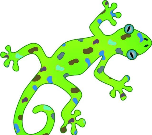 为什么说壁虎是五毒之一它有什么毒