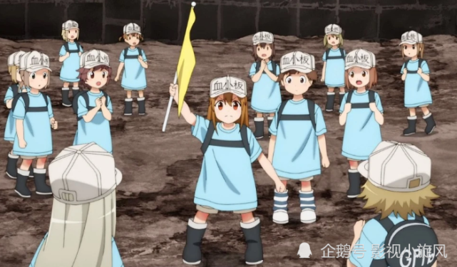 37兆2千亿打工细胞准备就绪,这不追等啥呢|工作细胞|幽门螺旋杆菌