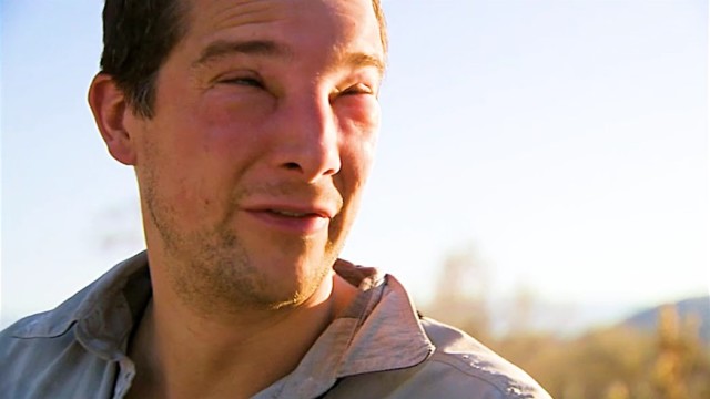 贝爷贪吃蜂蜜,脸被蛰变形!