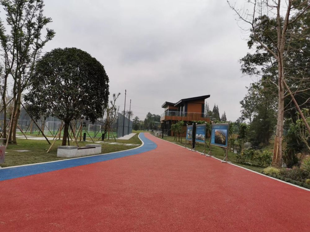 经核实了解,金泉运动公园项目于2018年9月18日立项,实施建设总面积约